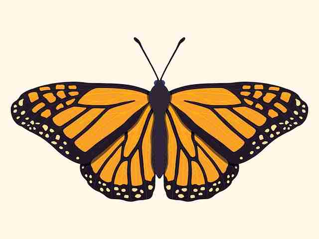 全景观察!每日大赛在线免费观看视觉盛宴（一文读懂），全景式的观察