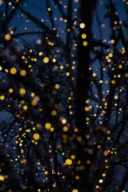 糖心vlog入口官网｜沉浸深扒破圈秘诀 深层解构