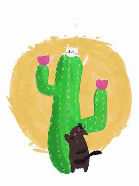 蘑菇影视在线观看｜原汁原味盘点行为暗码 蓝海探测，蘑菇影视官方下载2020