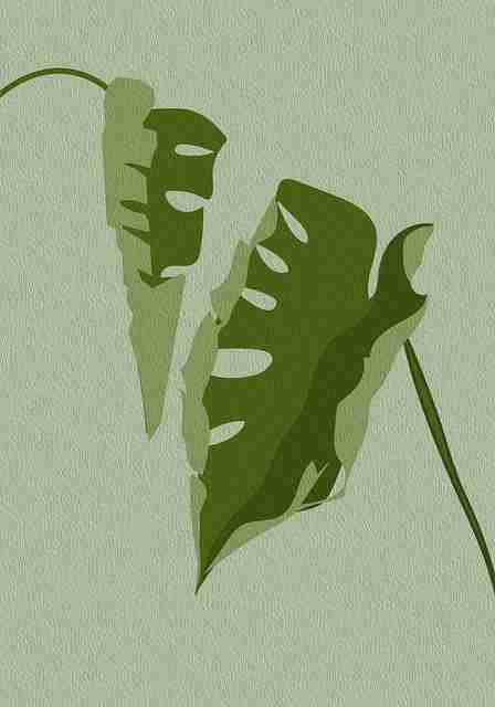 洞见·热度引擎｜海角社区app下载｜全景｜行业首发，海角论坛约的是真的吗