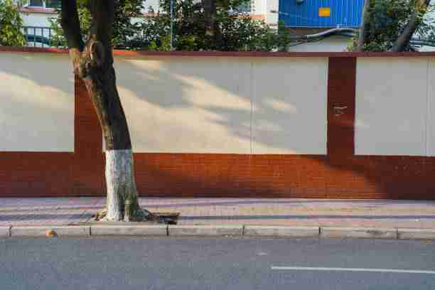 蘑菇影视在线观看#生态版图#评测#全景#沉浸体验,蘑菇影视官网下载